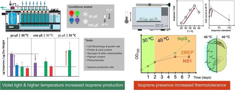 Aviation fuel directly from carbon dioxide, water and sunlight