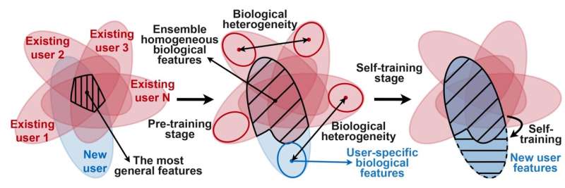 CityU researchers develop a self-supervised AI adaptation framework to enhance sensing accuracy of EMG devices