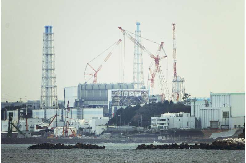 Japan nuclear watchdog asks Fukushima plant operator to assess risk from reactor damage
