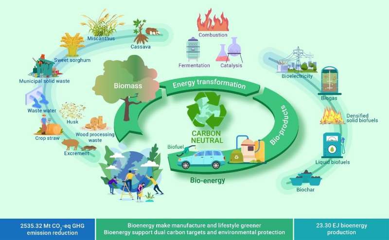 Researchers evaluate energy conservation and carbon reduction potential for biomass energy conversion