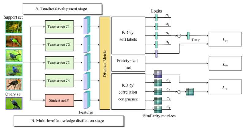 Teachers cooperation: team-knowledge distillation for multiple cross-domain, few-shot learning